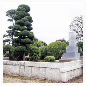 お墓の植木のお手入れ作業後