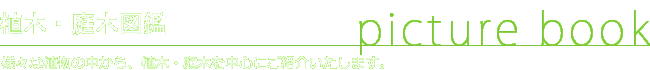 植木・庭木図鑑
