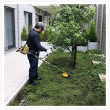 占有庭の除草・剪定